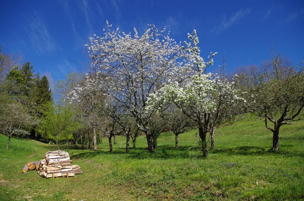 Chambres D'Hotes Domaine Du Hameau Baylesse Saint-Jean-d'Aigues-Vives Dış mekan fotoğraf