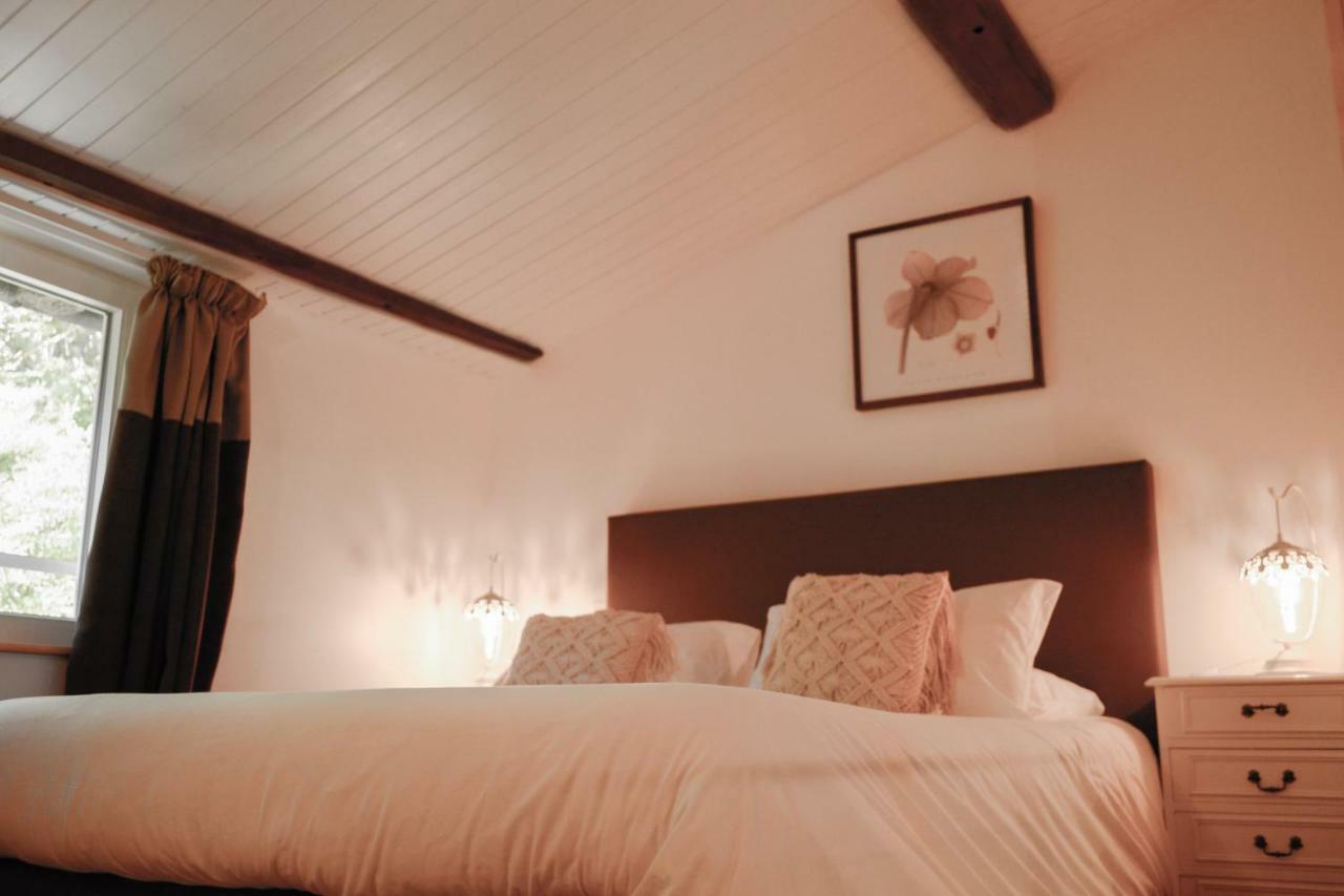 Chambres D'Hotes Domaine Du Hameau Baylesse Saint-Jean-d'Aigues-Vives Dış mekan fotoğraf